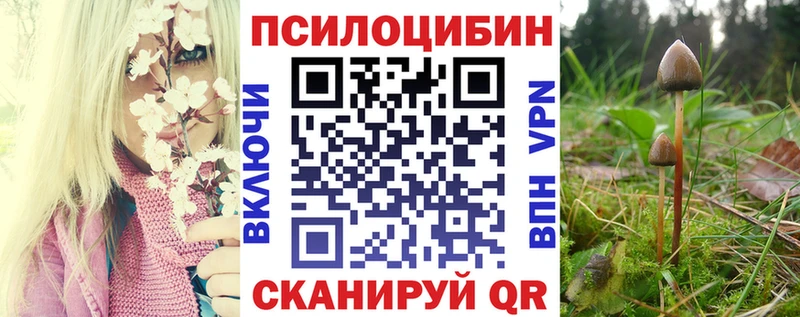 Галлюциногенные грибы Psilocybe  Краснодар 